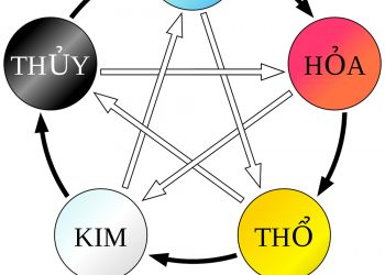 Mệnh Mộc và mệnh Thủy có hợp nhau không?