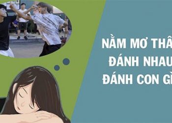 nam-mo-danh-nhau-danh-con-gi-giai-ma-giac-mo-danh-nhau