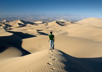 nam-mo-di-lac-duong-danh-con-gi