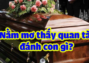 nam-mo-quan-tai-danh-con-gi