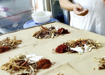 cach-hoc-duoc-lieu-nhanh-thuoc