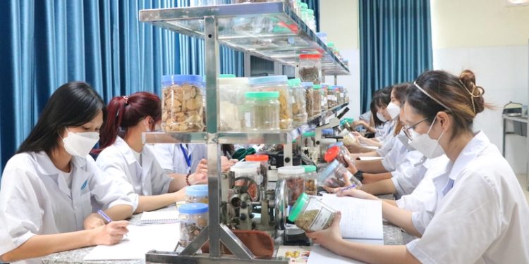 chuyen-nganh-duoc-lam-sang-1