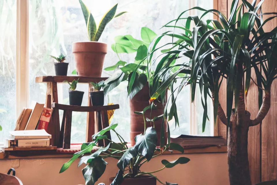 phong-thuy-hut-tai-loc-1