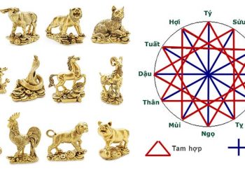 vat-pham-phong-thuy-theo-tuoi