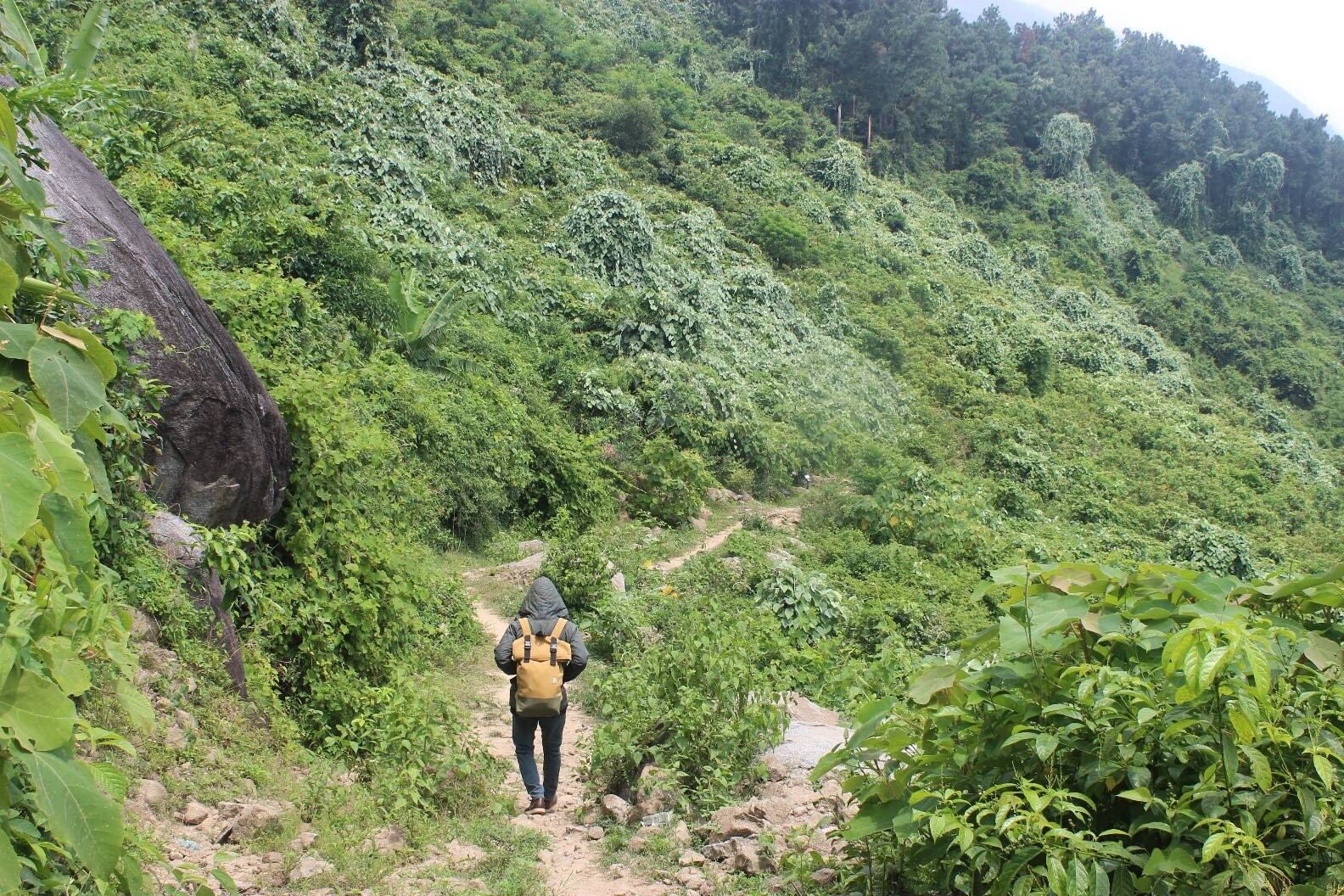 giac-mo-thay-lac-duong-2