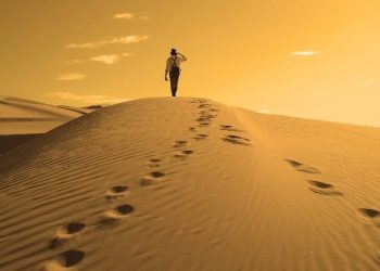 giac-mo-thay-lac-duong