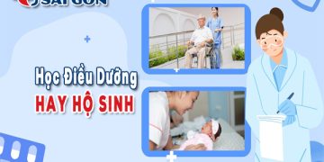 Nên học Điều dưỡng hay Hộ sinh